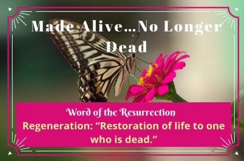 Regeneration-Made Alive…No Longer Dead