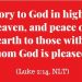 Peace on Earth to those with whom God is pleased from Luke 2:14
