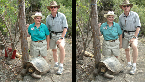 galapagos-tortoise-photoshopped