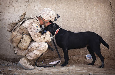 soldier and dog reunion