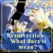 The Resurrection of Jesus–What does it mean?