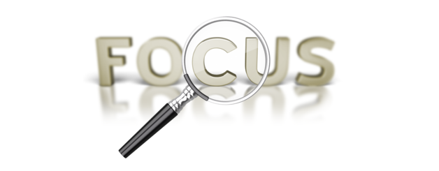 political pressure sharpens your focus (2 Chronicles 10-12)