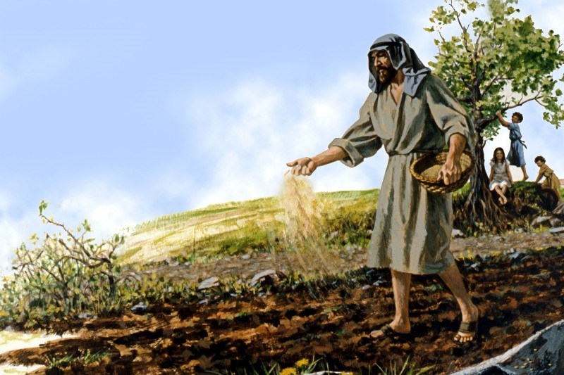 Sowing Seeds Bible