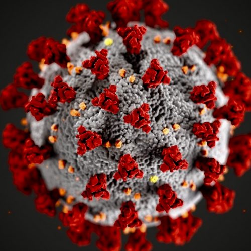 Corona Virus