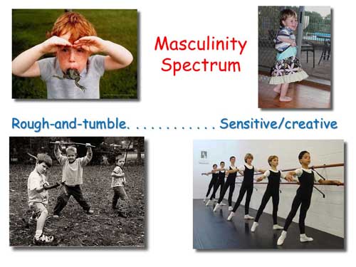 Masculinity Spectrum