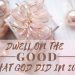 Dwell on the Good that God Did in 2020